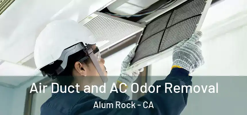  Air Duct and AC Odor Removal Alum Rock - CA