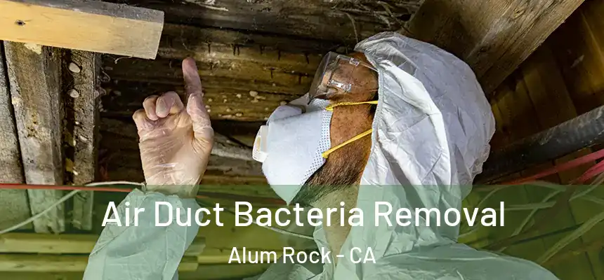  Air Duct Bacteria Removal Alum Rock - CA