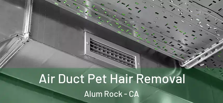  Air Duct Pet Hair Removal Alum Rock - CA