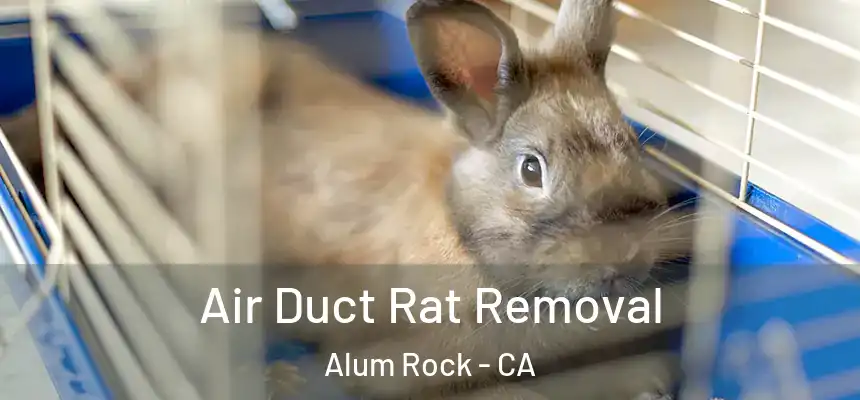  Air Duct Rat Removal Alum Rock - CA