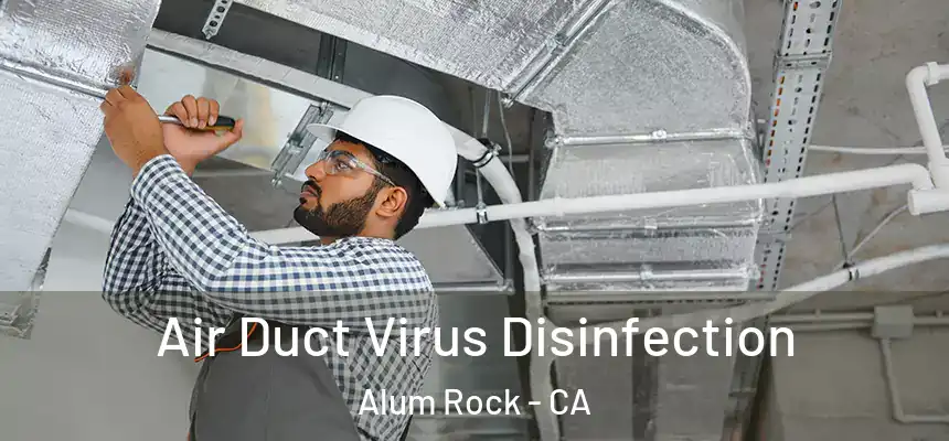  Air Duct Virus Disinfection Alum Rock - CA