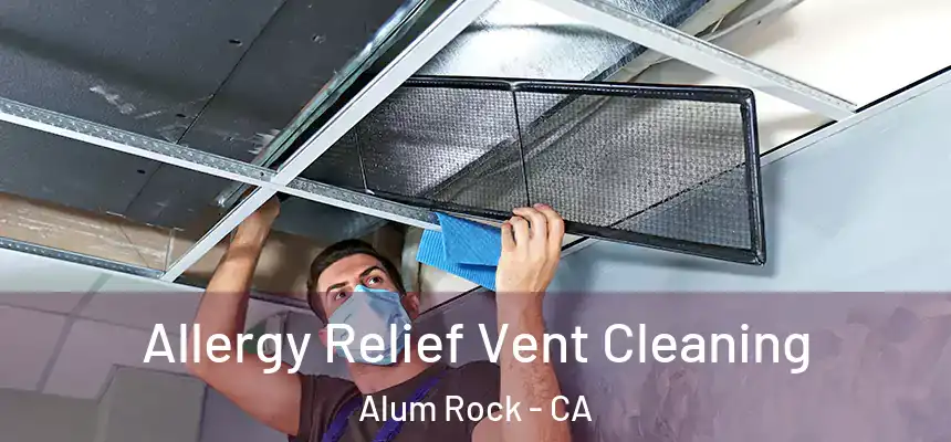  Allergy Relief Vent Cleaning Alum Rock - CA