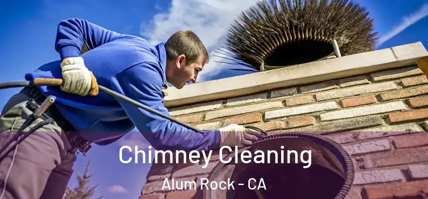  Chimney Cleaning Alum Rock - CA