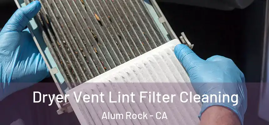 Dryer Vent Lint Filter Cleaning Alum Rock - CA