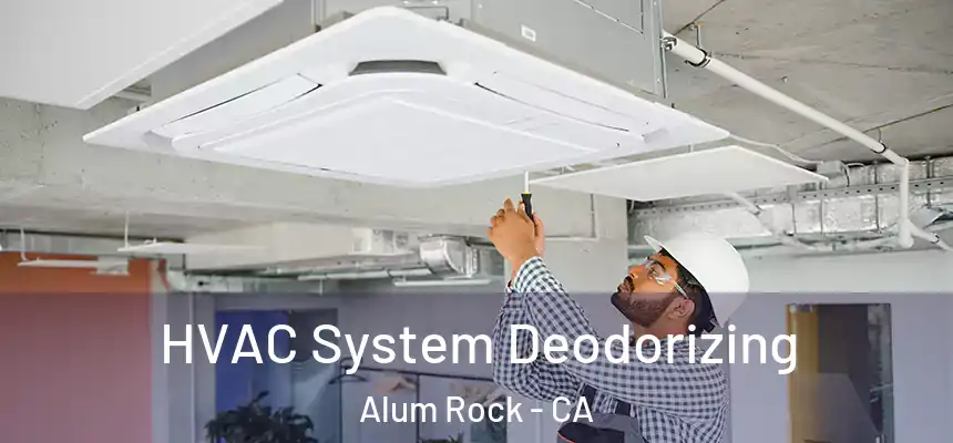  HVAC System Deodorizing Alum Rock - CA