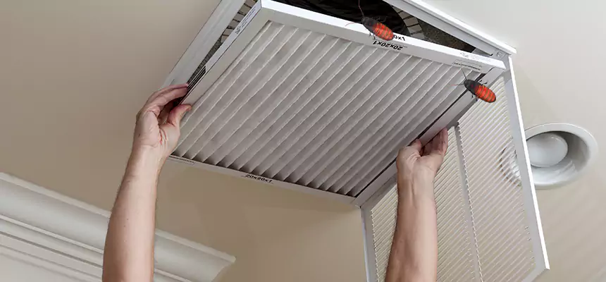 Preventive Cockroach-Proofing for Ducts in Alum Rock