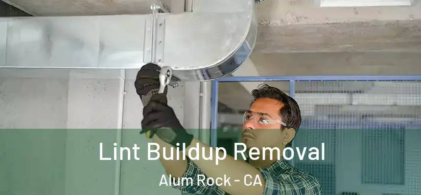 Lint Buildup Removal Alum Rock - CA