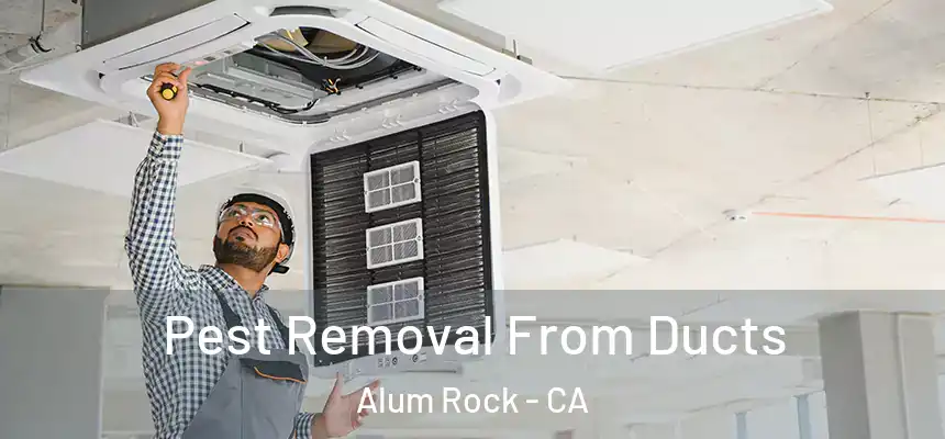  Pest Removal From Ducts Alum Rock - CA