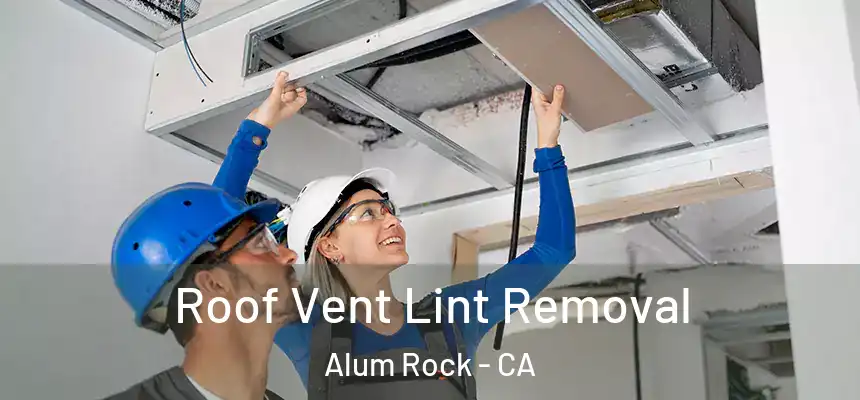  Roof Vent Lint Removal Alum Rock - CA