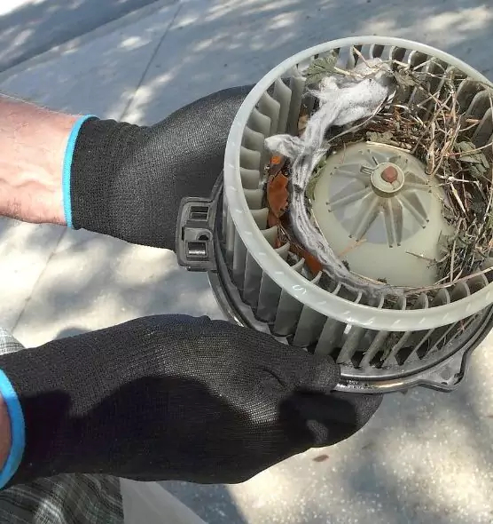 About Air Duct Mice Removal in Alum Rock, CA