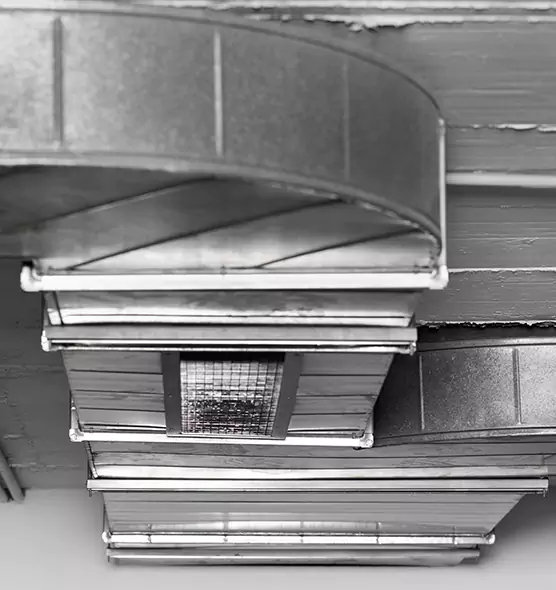 Professional Air Duct Pet Hair Removal in Alum Rock, CA