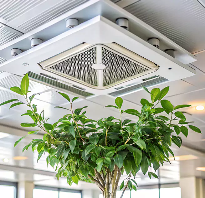 Why Homeowners & Businesses Trust Us in Alum Rock, CA?