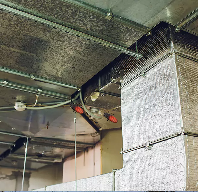 Why Homeowners & Businesses Trust Us Alum Rock, CA?