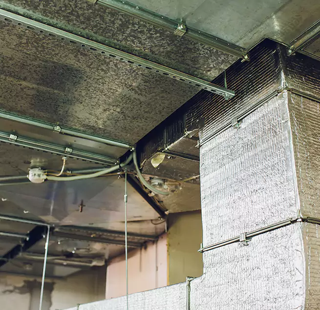 Why Homeowners & Businesses Trust Us in Alum Rock, CA?