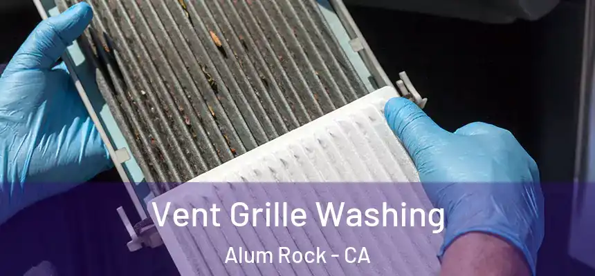 Vent Grille Washing Alum Rock - CA